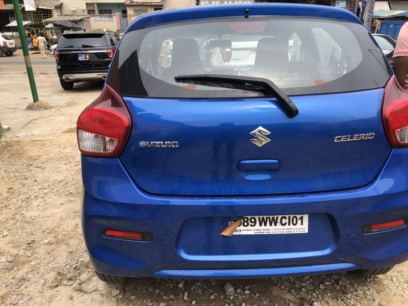 Suzuki 1
