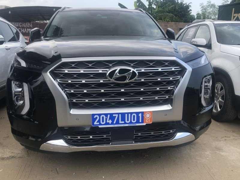 Hyundai palissade 2020 1