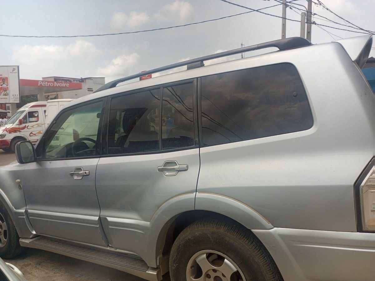 Mitsubishi Pajero DID 2