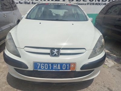 Peugeot 307 - miniature